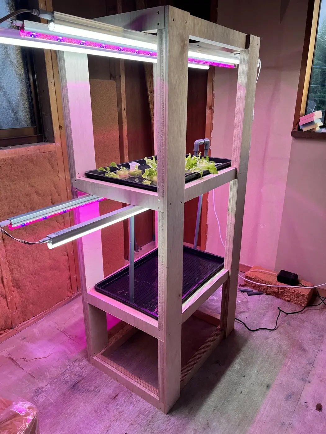 木製フレームで組んだミニ植物工場